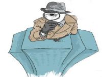 向阳区取证公司解说第三者承担离婚赔偿责任吗